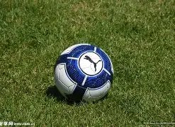 斯洛特关注,阿森纳对阵,富勒姆赛事,世界杯小组赛,2026世界杯,赛程安排,球队分析,赛事预测