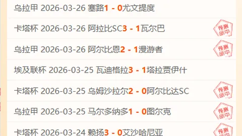 杜普兰蒂斯：成绩之外，追求体验中国韵味